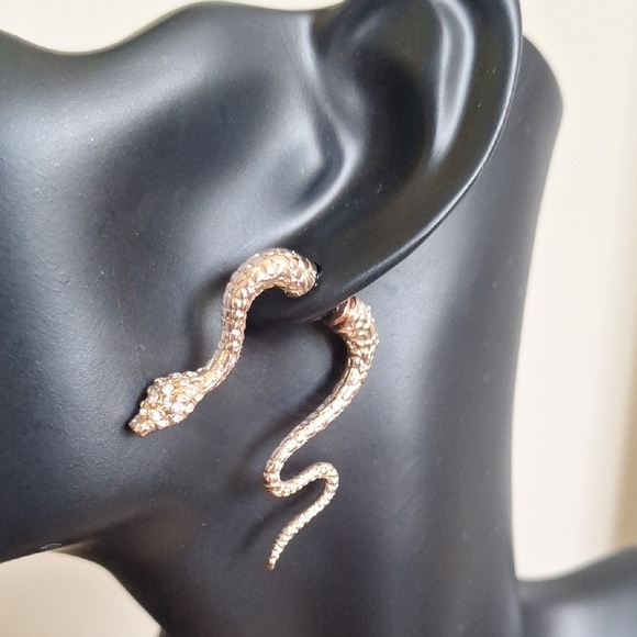 Simply Vera Wang Snake Front Back Earrings - Picture 1 of 5